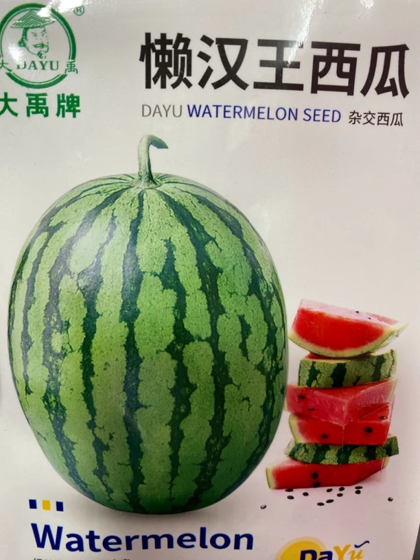 懒汉西瓜种子籽甜如蜜