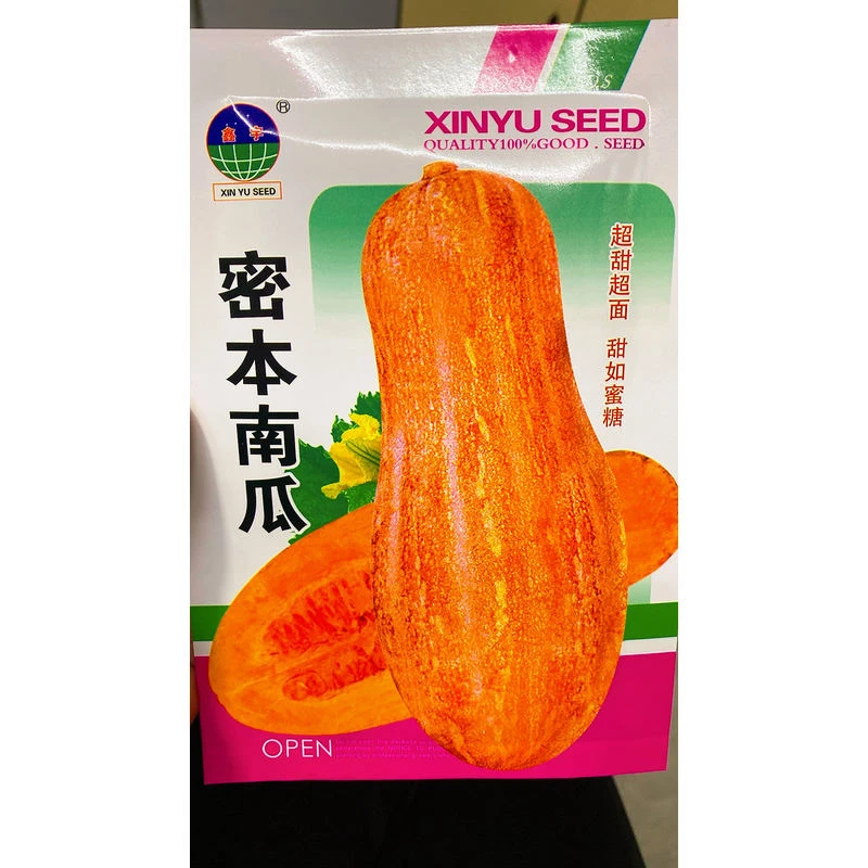 密本南瓜籽密本南瓜籽