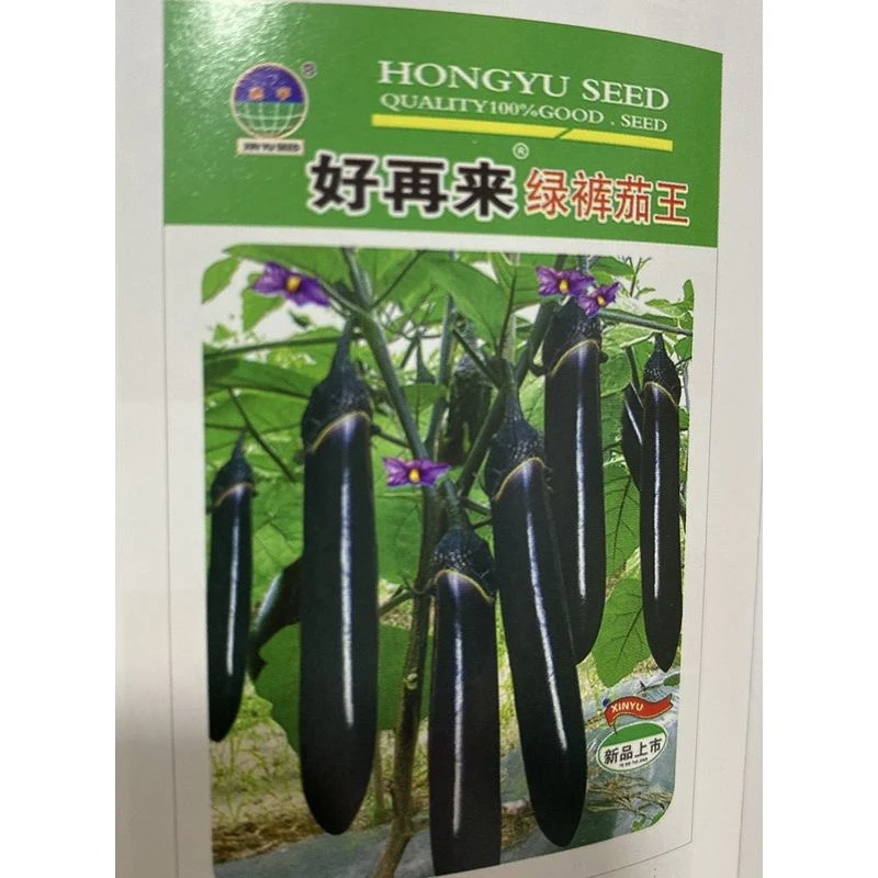 鑫宇绿裤长茄子籽