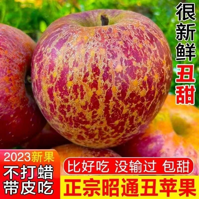 【乐多】云南昭通丑苹果冰糖心苹果水果新鲜脆甜5/红富士当季整箱包