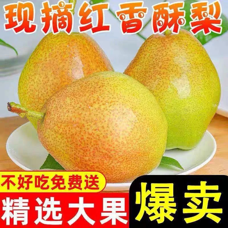 【乐多】【现摘】红香酥梨新疆库尔勒香梨子新鲜应季水果超甜皮薄雪梨