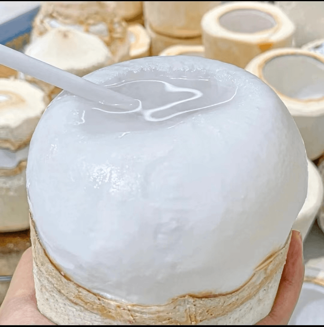 【乐多】椰子蛋海南新鲜椰青去皮成品甘甜解渴肉嫩做成椰子冻源头货