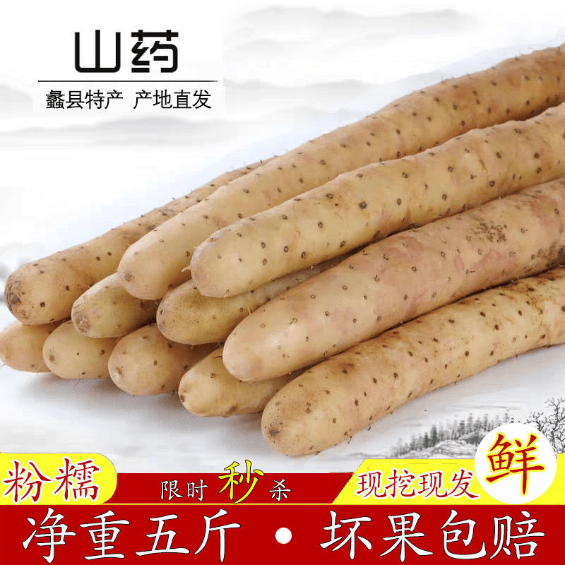 【乐多】现挖小白嘴麻山药河北垆土铁棍山药新鲜蔬菜粉糯香跨境