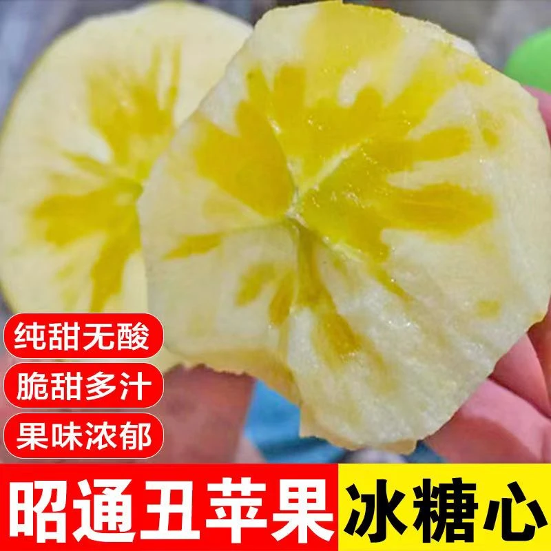 【乐多】正宗冰糖心盐源丑苹果当季现摘大凉山苹果整箱包邮