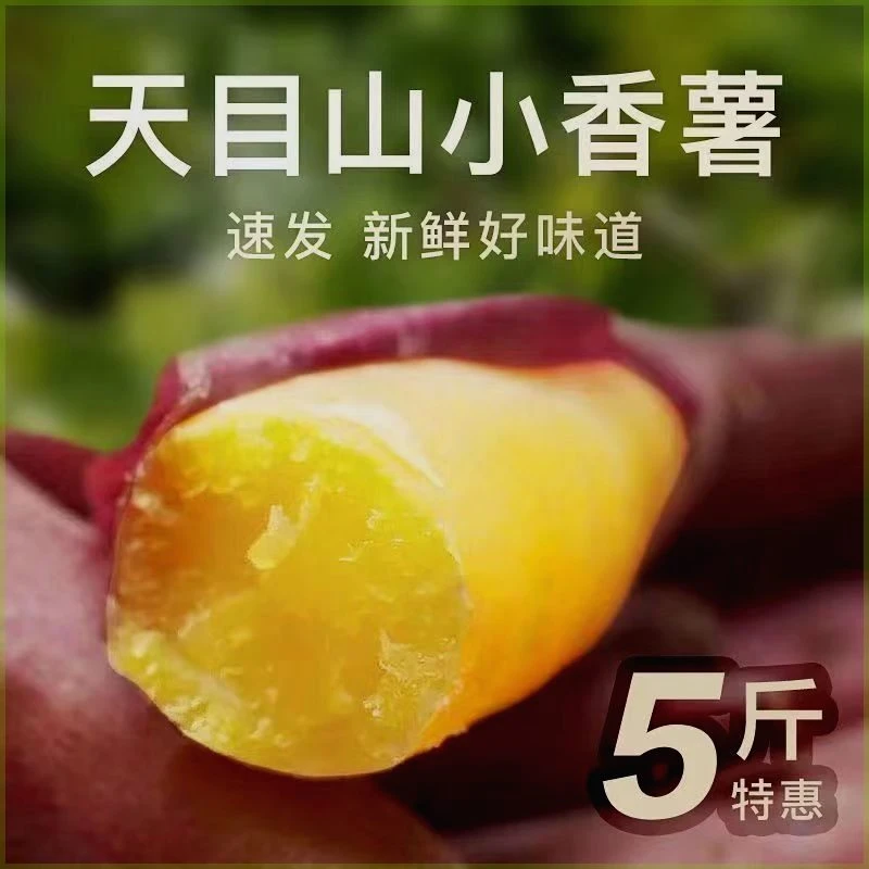 【乐多】临安天目山小香薯金手指小红薯新鲜现挖地瓜山芋板栗蜜薯红