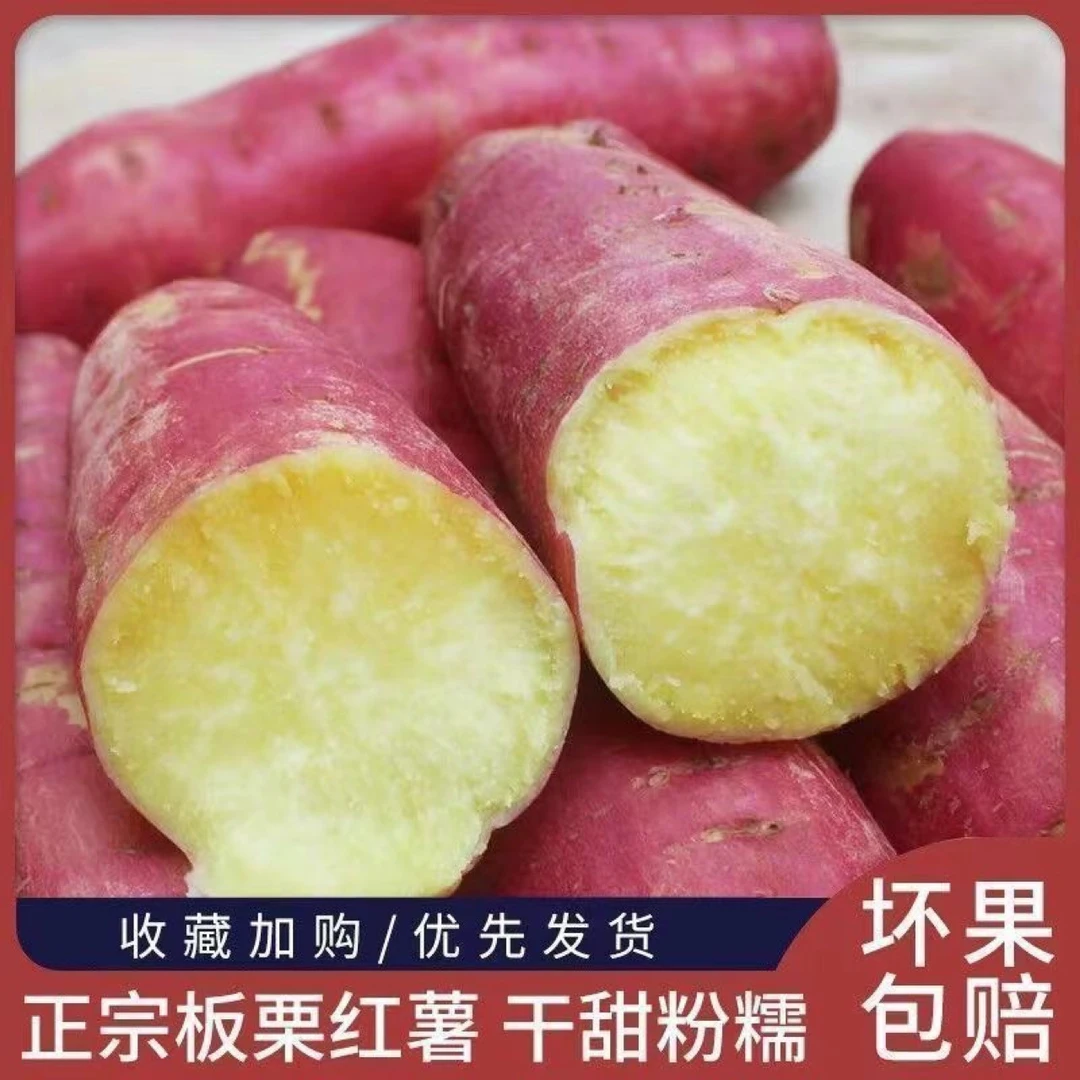 【乐多】正宗板栗西瓜红蜜薯整箱新鲜地瓜红皮黄心番薯批发现挖红薯