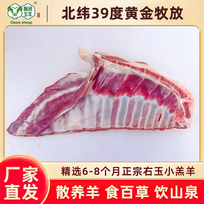 绿洲玉羊右玉羊肉新鲜羊肋排6-8个月羔羊羊肋排清真烧烤清炖食材