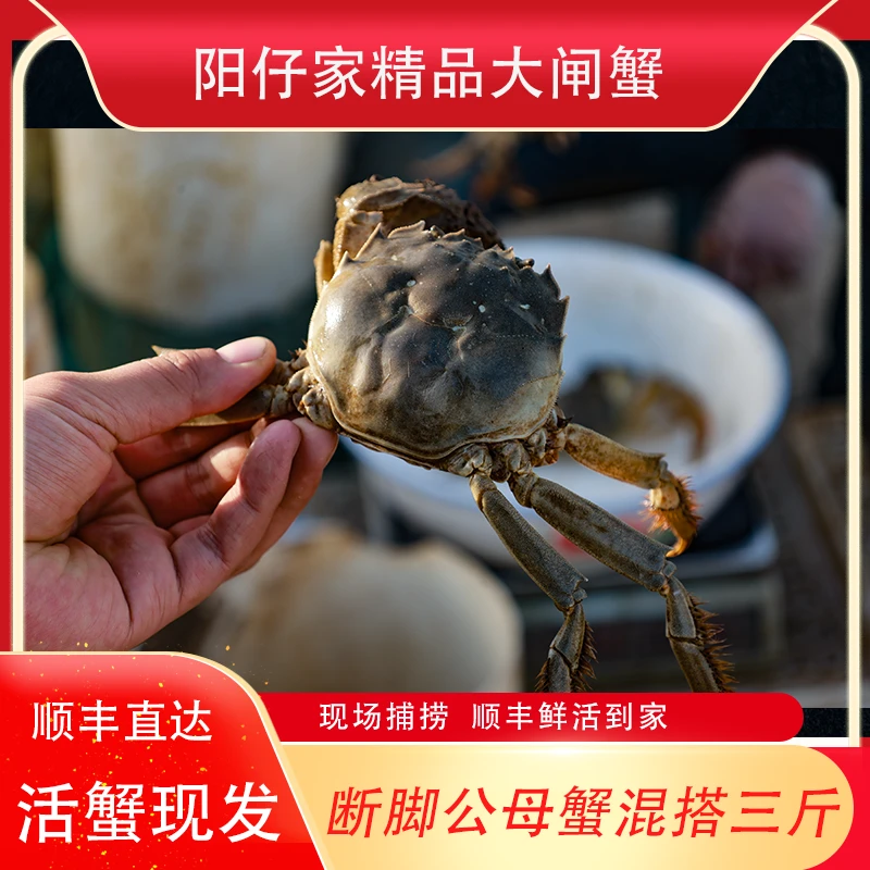 洪泽湖红膏大闸蟹【现捕断脚公母蟹】