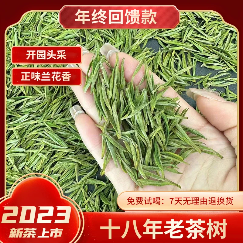 年终回馈款 科峰招牌头采（溪龙18年老茶树头采）布加迪款安吉白茶