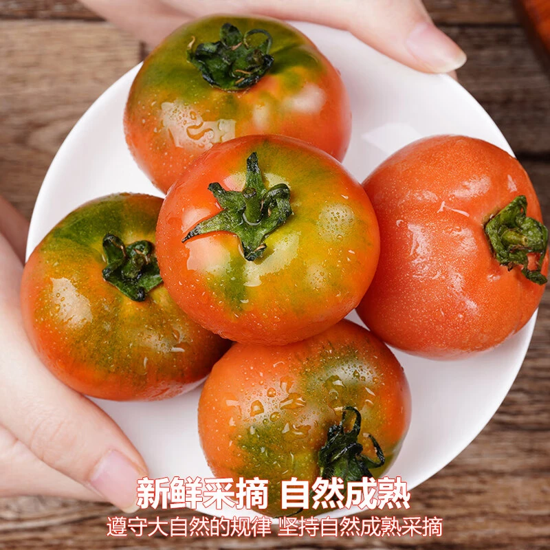 铁皮草莓西红柿小果番茄可生吃西红柿新鲜蔬菜