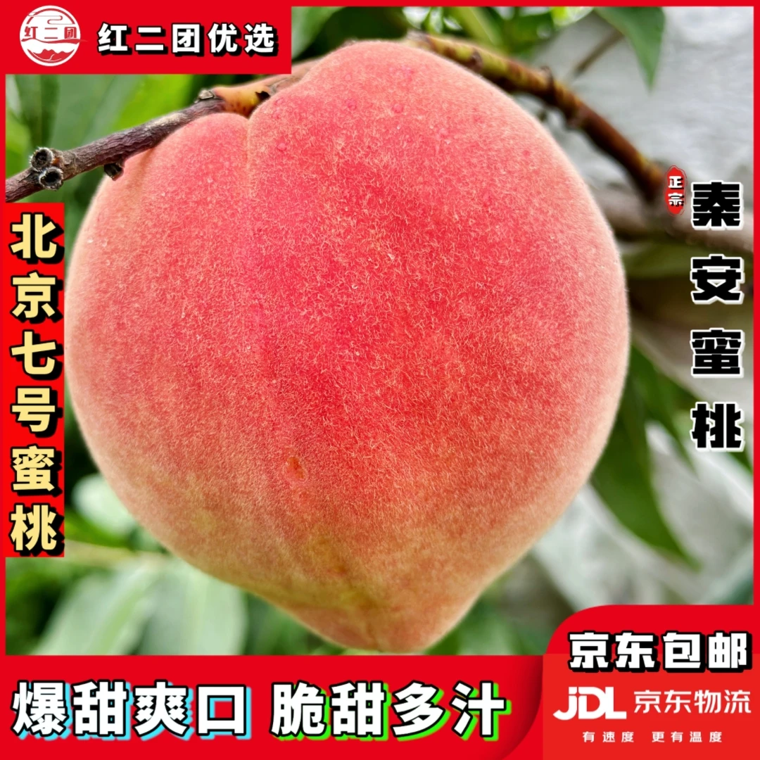 【甘肃省内拍】优选天水秦安北京七号蜜桃脆甜爽口新鲜香甜多汁包赔