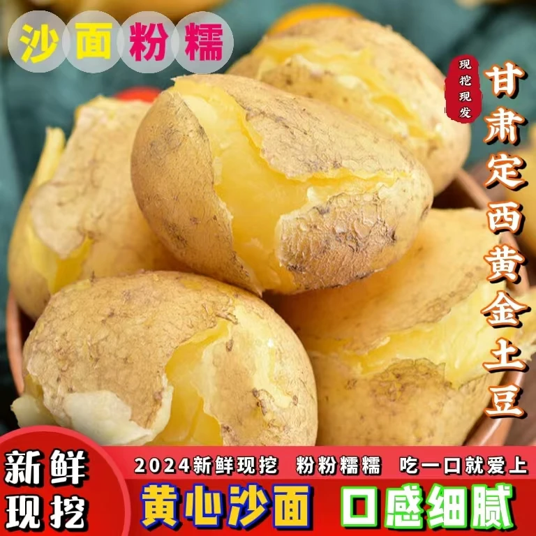 2024现挖新鲜甘肃定西黄心土豆沙面糯香产地直发包邮洋芋马铃薯