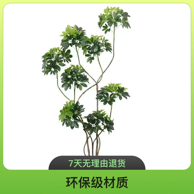 造型包边鸭脚木盆栽客厅室内绿植落地网红好养真花卉鸭掌木植物