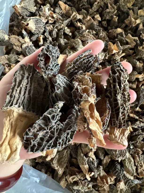 压扁微损手选羊肚菌 一斤装