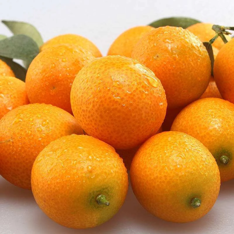 【润喉脆甜】广西小金桔1斤