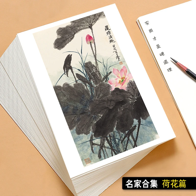 国画临摹卡名家合集荷花篇手绘画中国风绘画入门艺术教学全套48张