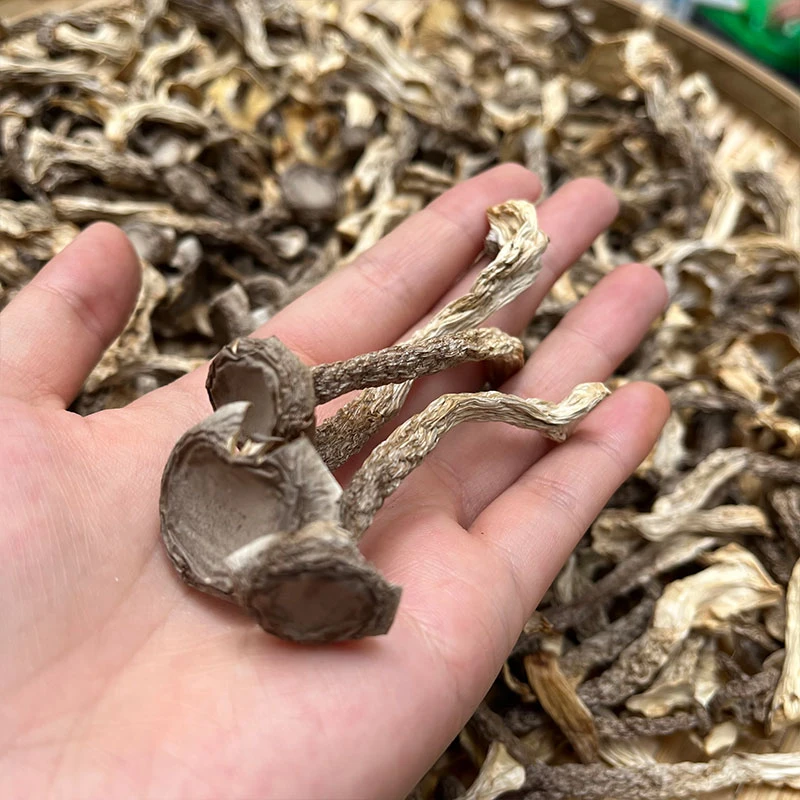 【小成山货】鹿茸菇云南高原特产干蘑菇煲汤炖肉美味菌子山珍美食