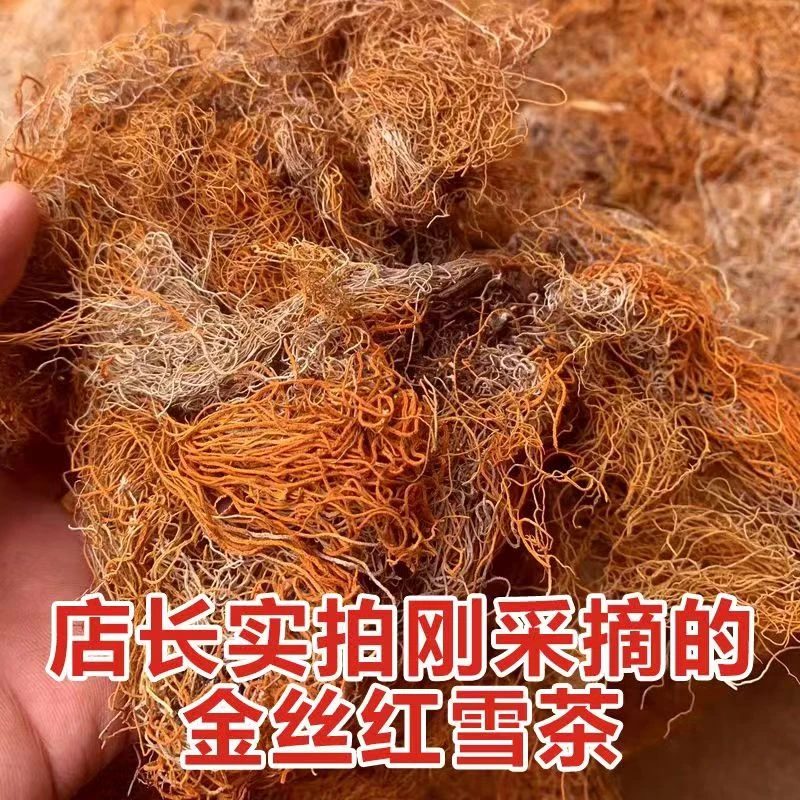【小成山货】高原红雪茶金丝红雪茶可以加枸杞泡水