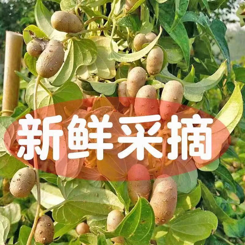 (山药豆)焦作温县特产正宗垆土地铁棍山药豆3斤营养