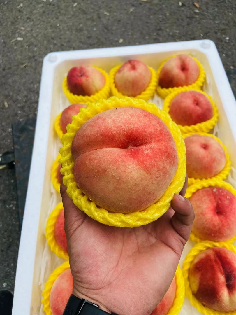 水蜜桃 牛奶蜜桃