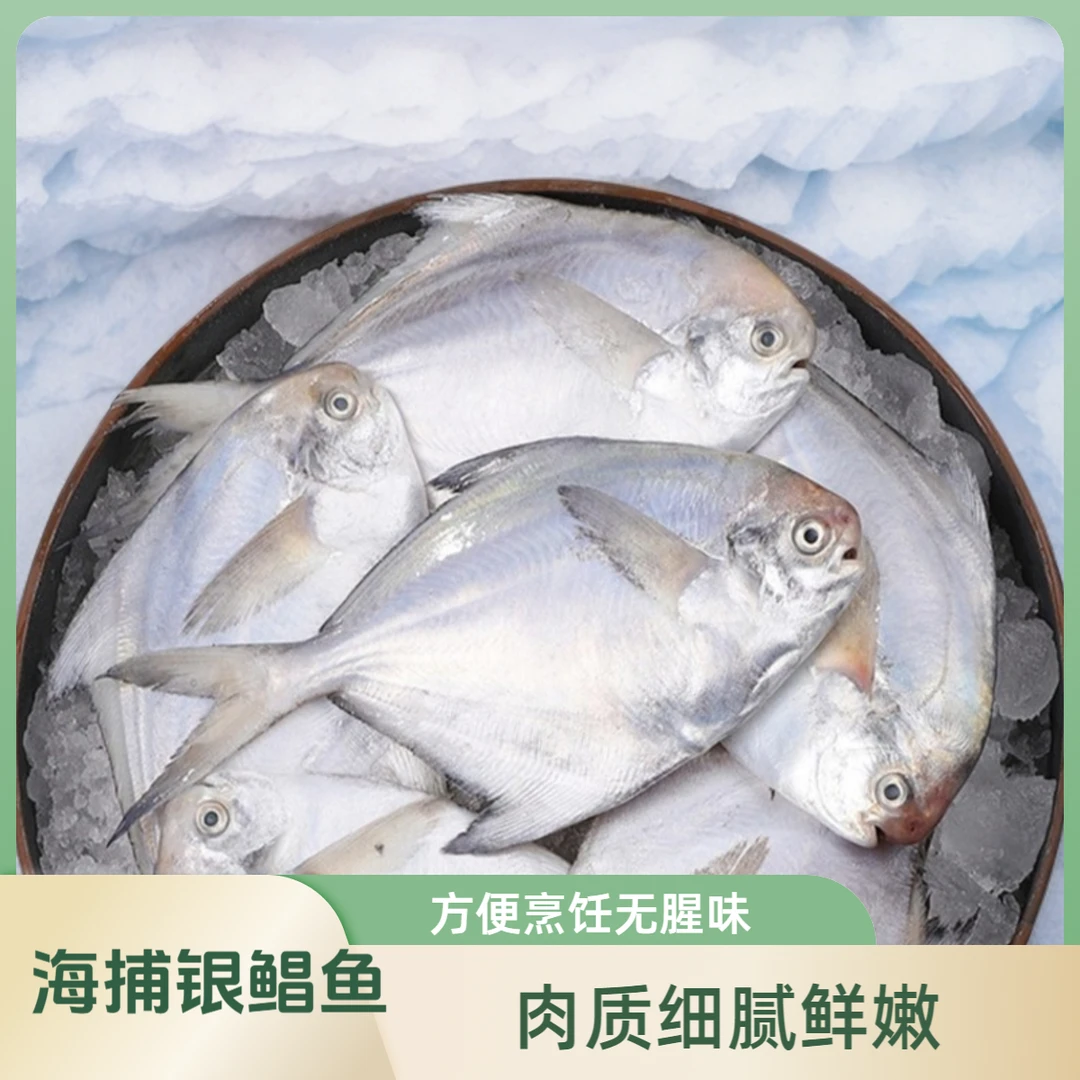 海捕特大银鲳鱼500g*5新鲜冷冻深海肉质美味发货清蒸产品