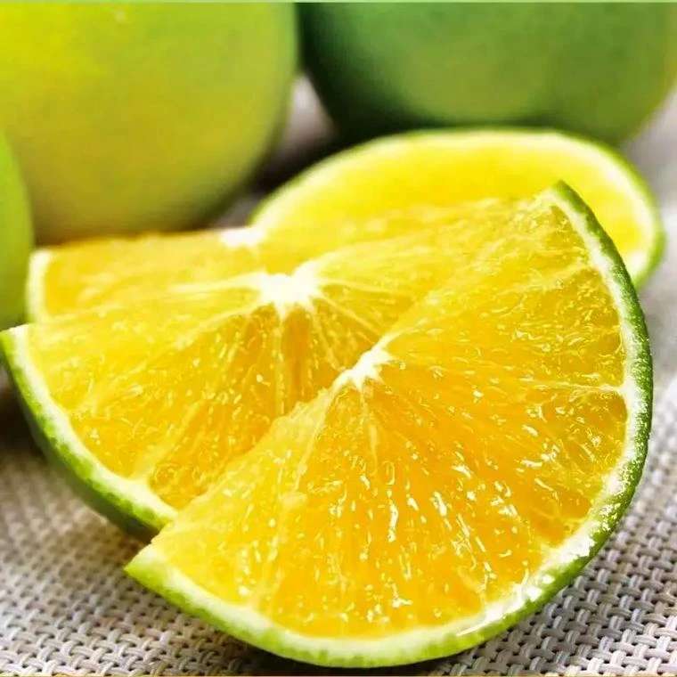 【1小时送到家】云南冰糖橙丨6只装丨橙味足，水份充足，果甜