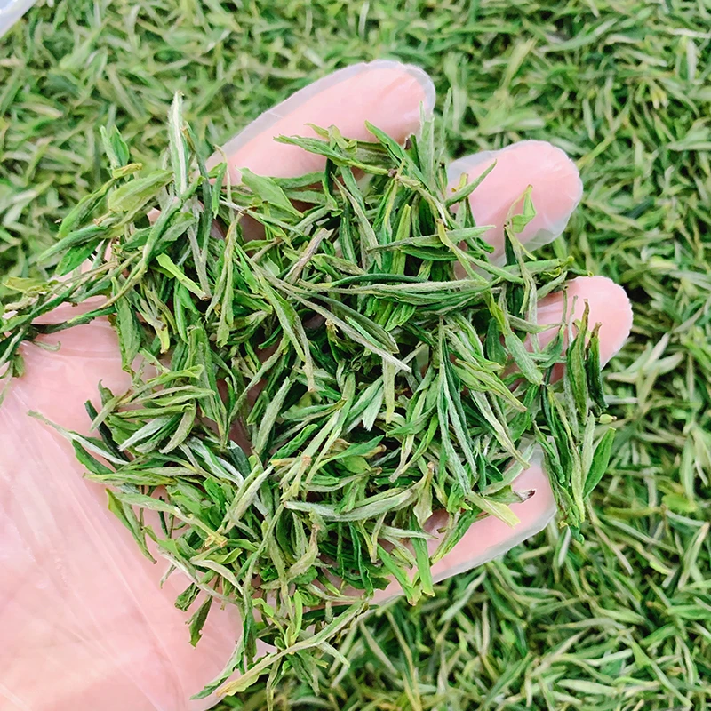 茗抱春毛峰2023新茶明前绿茶嫩芽春茶茶叶250g/500g礼盒袋装C5