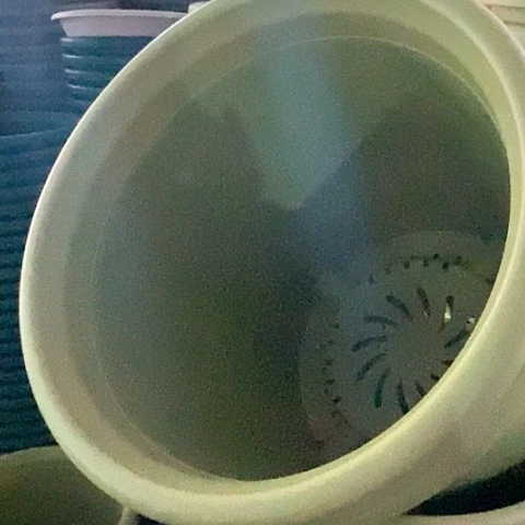 树脂300CM及以上四季7#无拖果绿6个