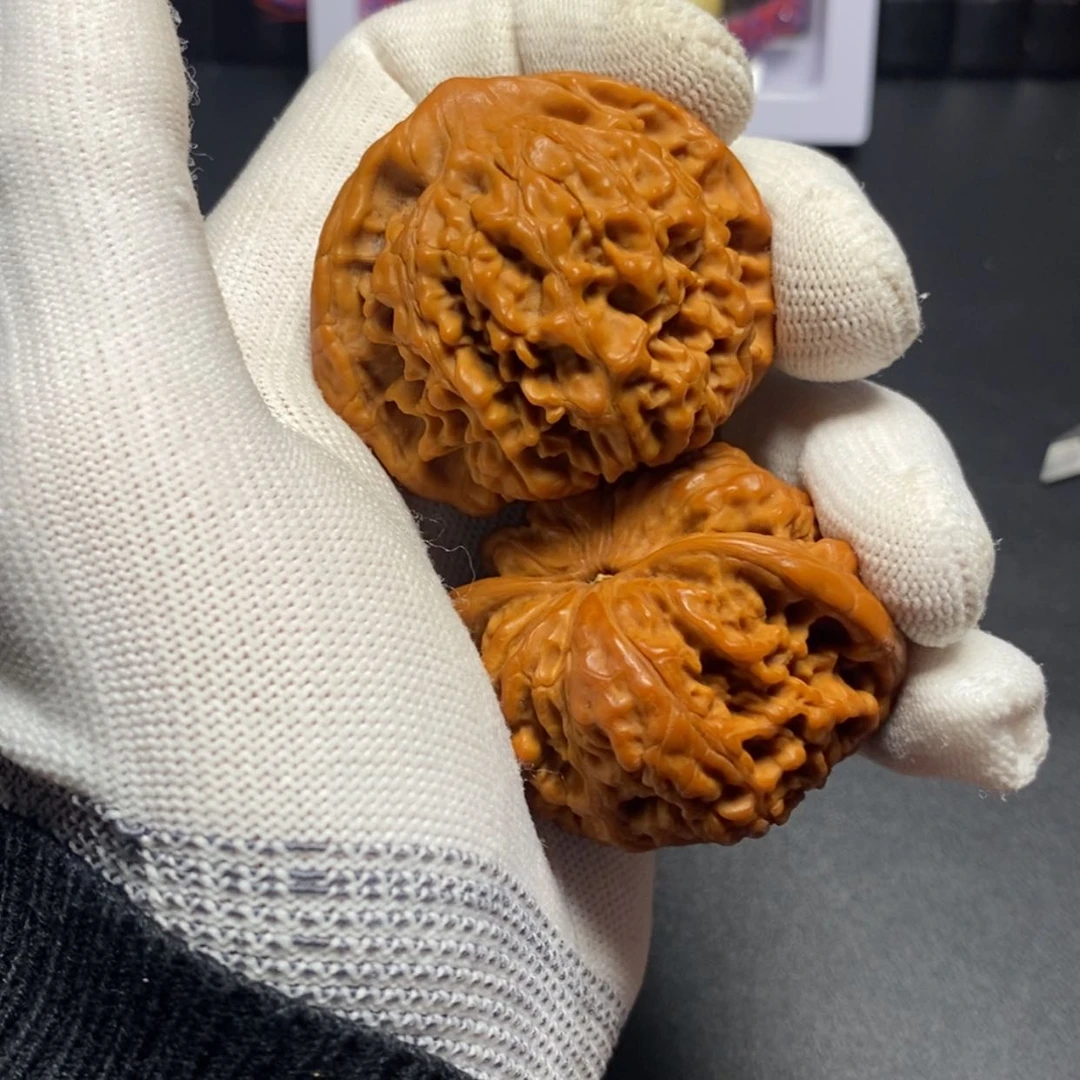【闪购商品】金刚菩提手串官帽