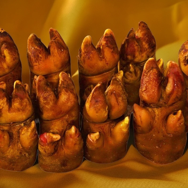 烟熏腊猪脚尖尖猪蹄叉叉湖北恩施腊猪蹄柏树枝丫小火烟熏制品真空