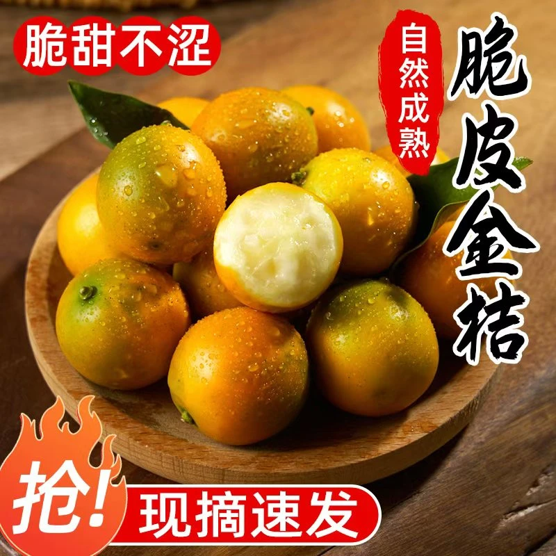 【爆甜来袭】融安金桔滑皮纯甜脆皮广西小金桔冰糖薄皮当季新鲜果