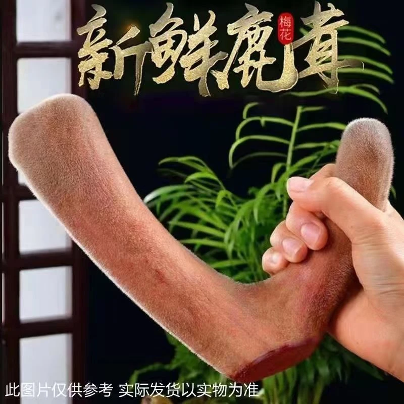 正宗东北双阳鹿乡新鲜鹿茸头茬二杠营养滋补 可切片泡酒 煲汤炖菜