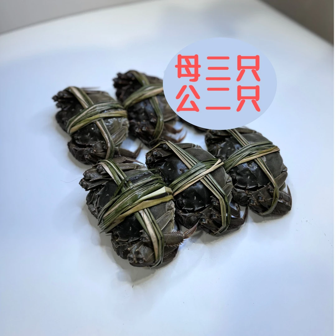 【活蟹】大闸蟹公蟹2.6两母蟹2.5两公蟹2只母蟹3只 共5只