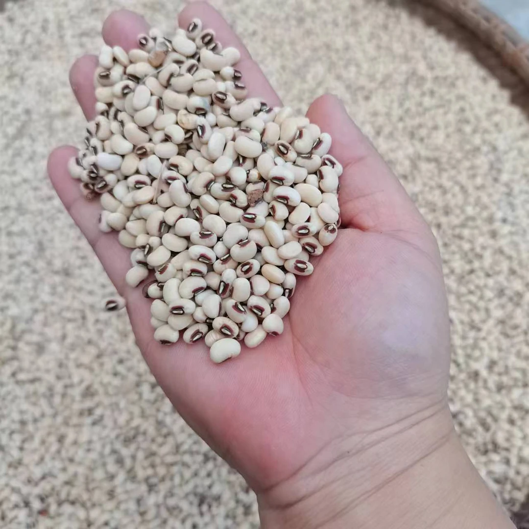 湖南农家自种老品种饭豆白豆