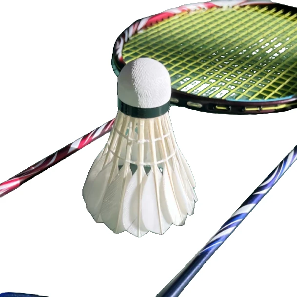 天浩乐羽羽毛球训练