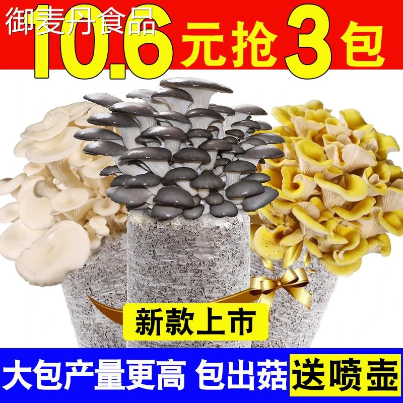【小扬哥甄选】蘑菇菌包菌种种植包平菇灵芝木耳自种菇种家庭室内