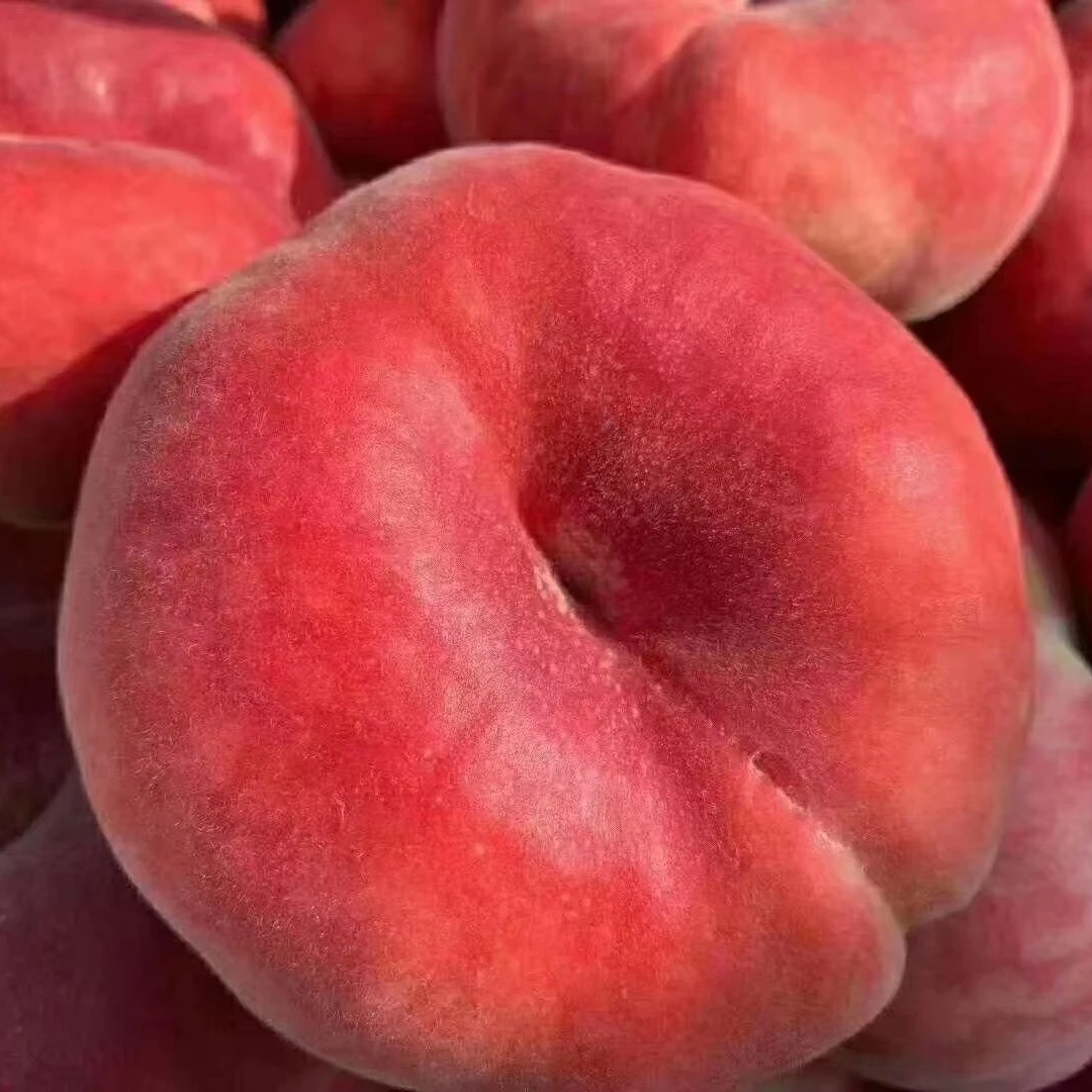 北京特产 平谷大桃 蟠桃 软硬适中 甜度超高 6斤尝鲜 京津冀包邮