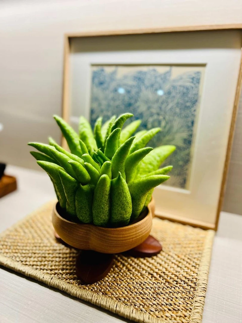 【精品佛手柑-1】观赏佛手柑一物一拍熏香水培干养鲜切绿植