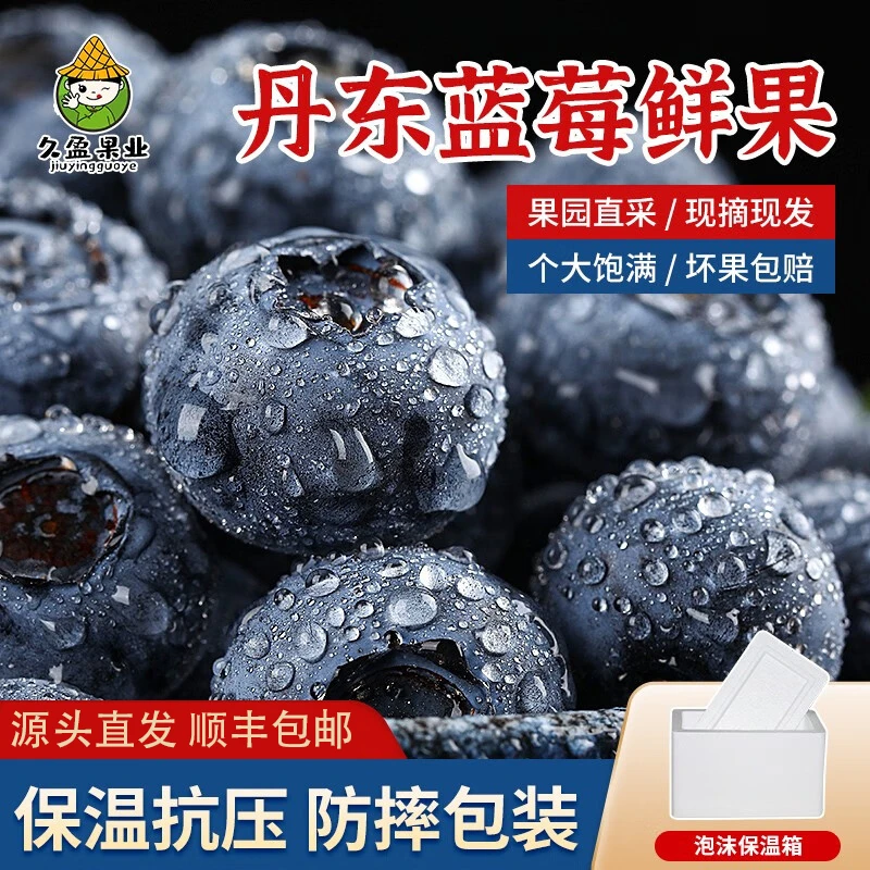 【鑫久盈】正宗丹东蓝莓125g/盒（4-8盒装）