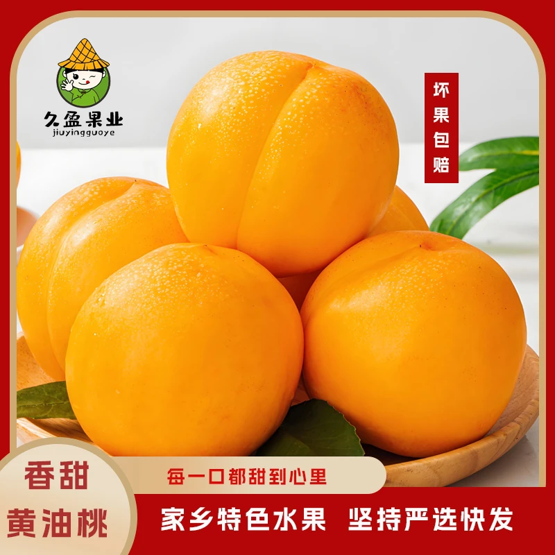 【顺丰包邮】东北特产黄金蜜桃3-5斤黄油桃现发芒果桃香甜多汁