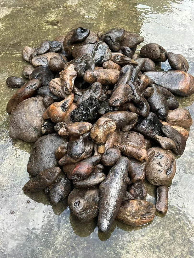 怒江小漂流木，材质有各种各样，50个188元不包邮。。