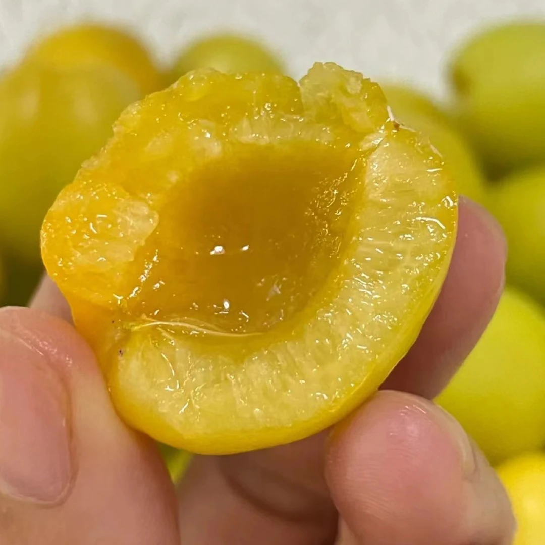 新疆轮台小白杏 很甜原装筐约3斤