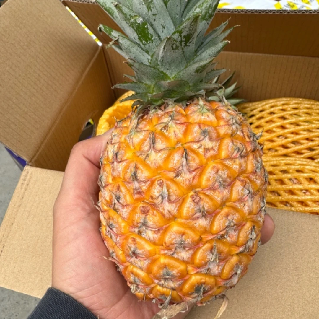【小芒果凤梨】迷你小凤梨 4-5 颗 老甜了（金钻箱子里面是芒果凤梨）
