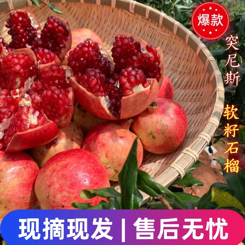 【正宗突尼斯】5/9包邮当季新鲜水爆汁果营养多汁饱满