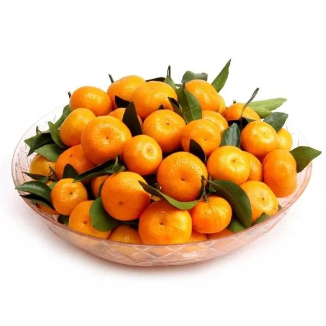 【次日送货上门】正宗云南砂糖橘大果当季水果现摘现发皮薄汁多