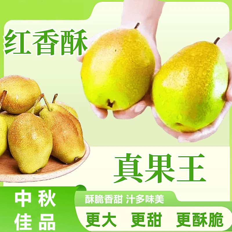 头茬红香酥梨口感清甜爽口现摘地头发4斤京东快递全国包邮尝鲜