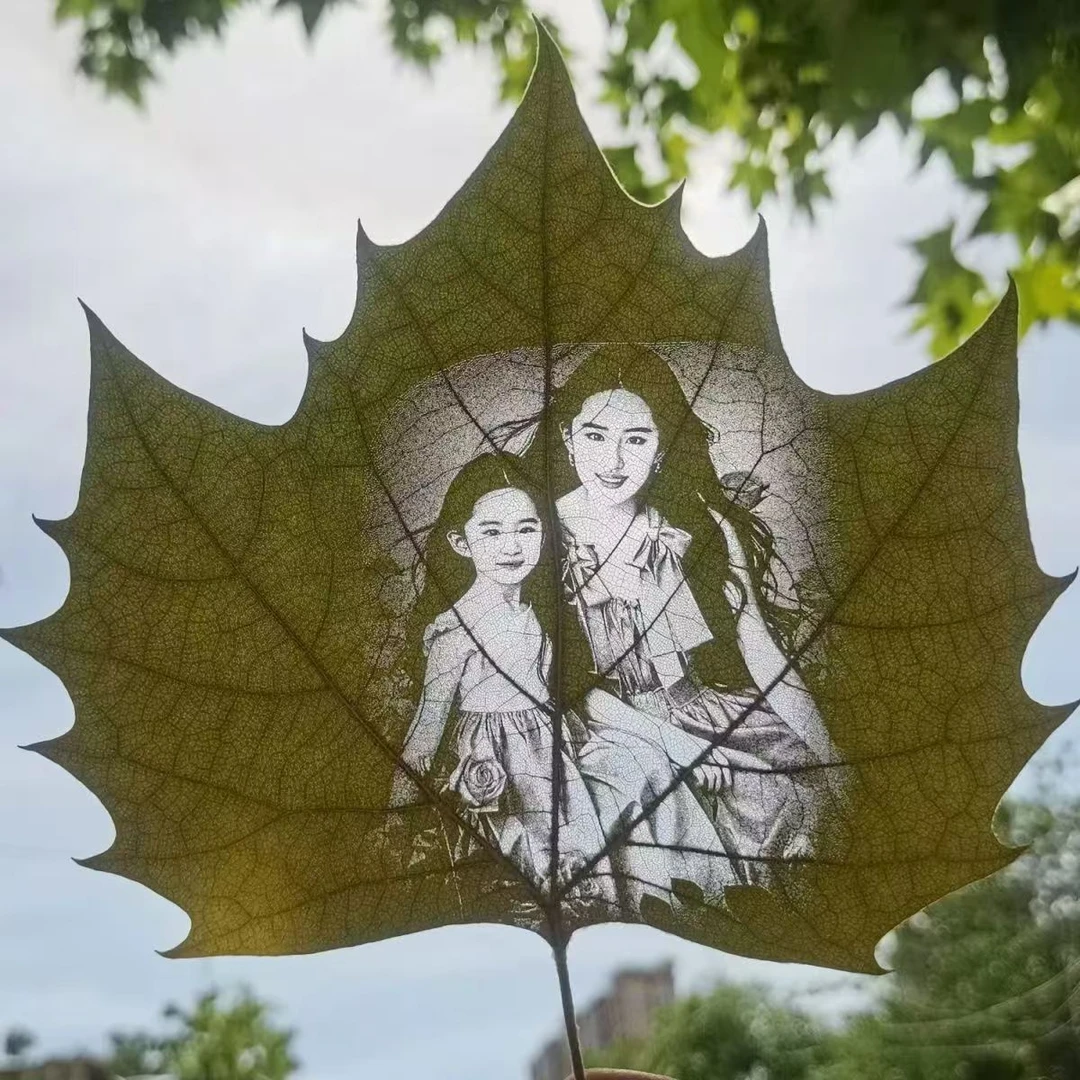 （偏远地区顺丰补差价）叶雕照片儿童节