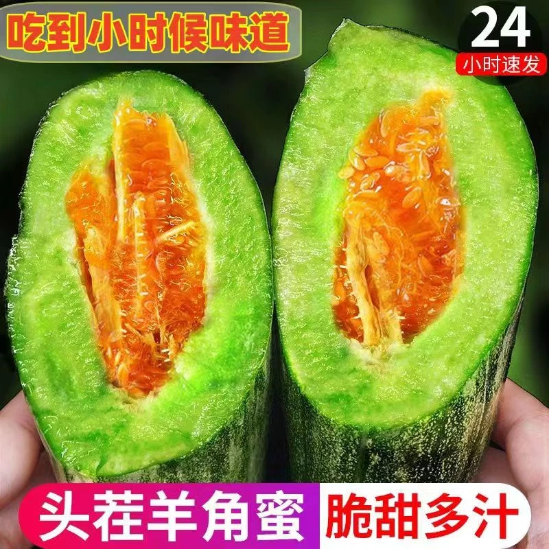 头茬羊角蜜甜瓜3斤脆甜新鲜当季水果香瓜山东产地现摘酥脆甜蜜
