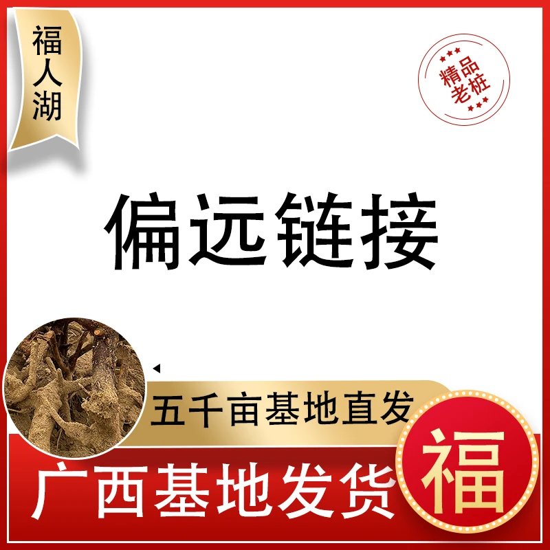 偏远链接三角梅精品老桩基地直发