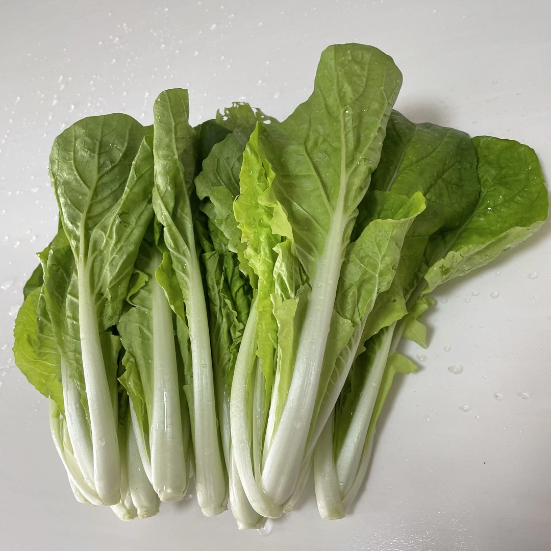 【合和甄选：酵素菜】水白菜10斤包邮 农场直供 省级示范种植基地